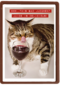 Verjaardagskaart kat met wijnglas