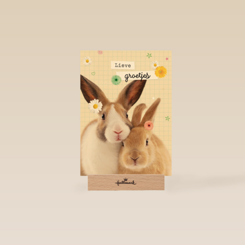lieve groetjes kaart met konijnen en bloemetjes