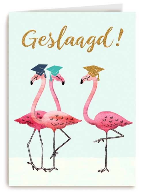 Kaart Hallmark | Diploma | Flamingo Geslaagd