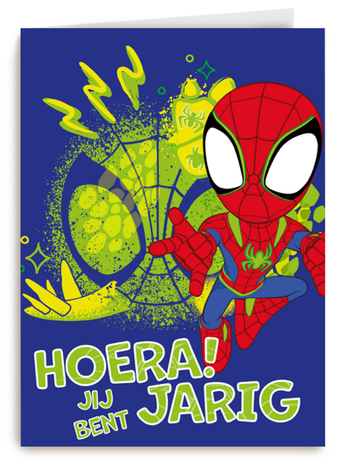 Spidey and friends Hoera