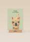 verjaardag kaart hip happy birthday lama alpaca