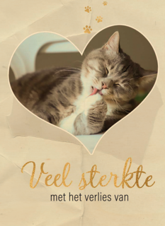 Fotokaart veel sterkte met verlies kat