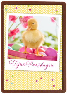 pasen kaart klassiek eendje