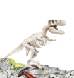 Archeo T-rex Dino