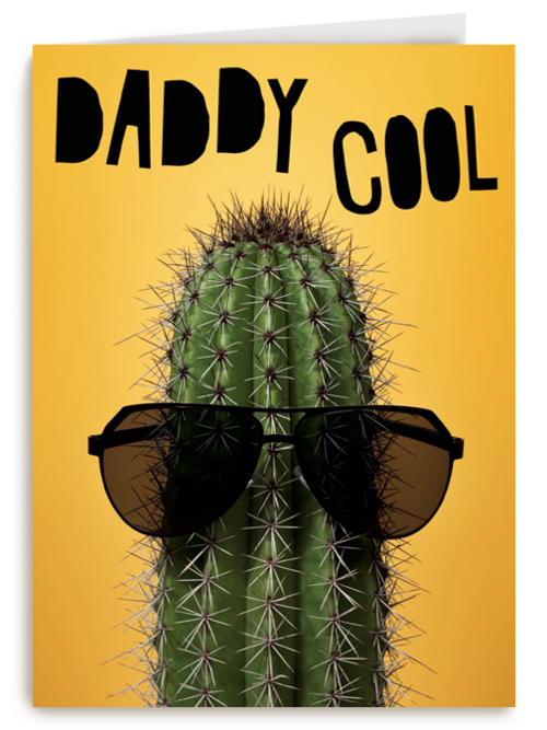 vaderdag kaart grappig daddy cool