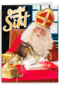 Sinterklaaskaart Groetjes van Sint