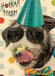hoera feest hond met zonnebril