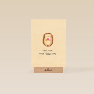 Moederdag Veel LiefsE gel