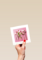 lente bloemen op roze achtergrond