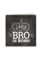 a little bro is born