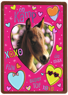 Op kamp paard