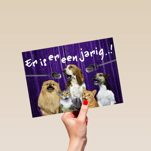 Chromazone Er is er een jarig dieren