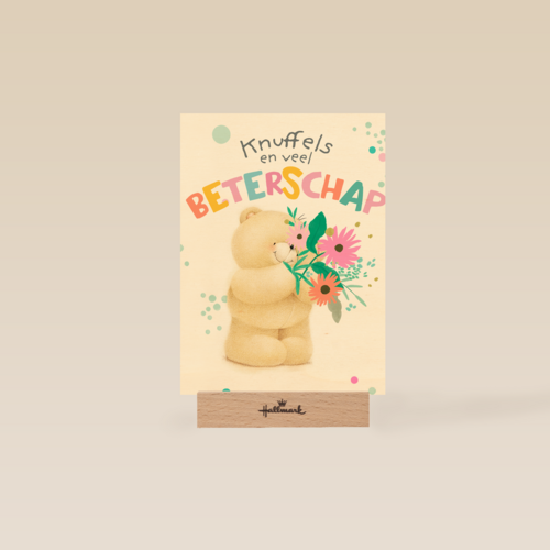 Forever Friends knuffels beterschap