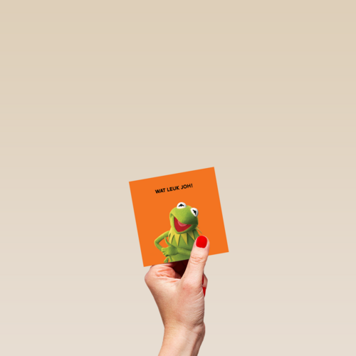 Wat leuk joh The Muppets