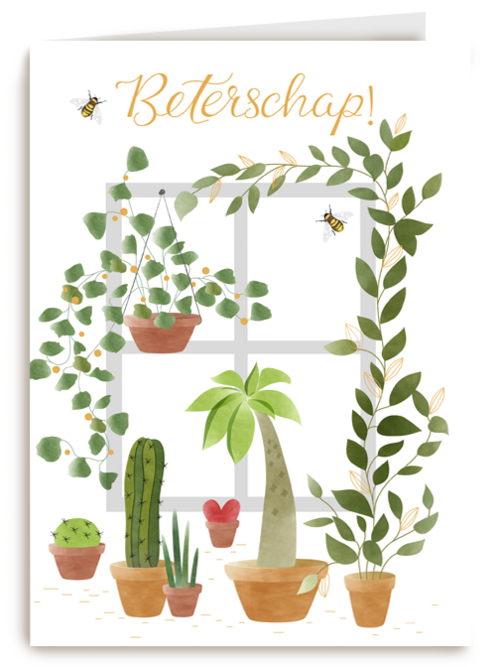 Kaart Hallmark | Beterschapskaarten | Beterschap Kaart Planten En Bijtjes