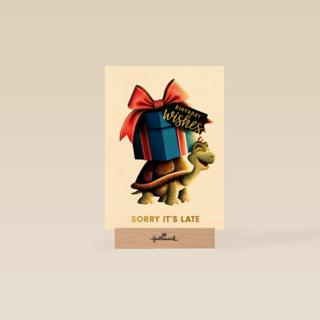 folio sorry its late turtle with present