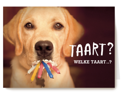 animal fiesta taart welke taart