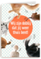 dolblij dat jij weer thuis bent
