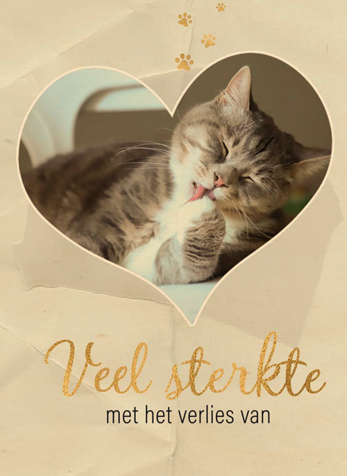 Fotokaart veel sterkte met verlies kat