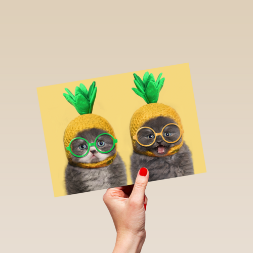 Chromazone kittens bril