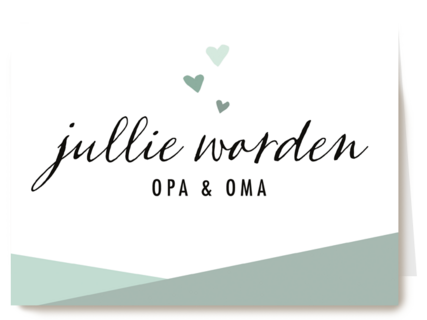 zwangerschap kleinkind jullie worden opa en oma groen