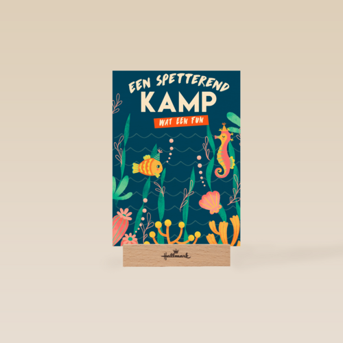 Sporta een spetterend kamp