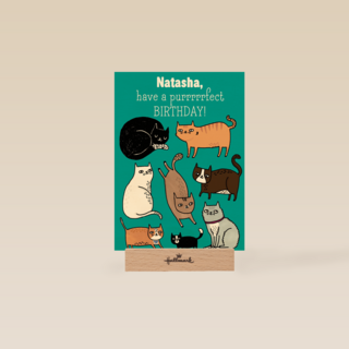 verjaardag vrouw grappig have a purrrrfect birthday