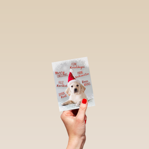 kerstkaart puppy met kerstmuts