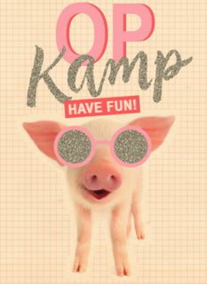 Op kamp kaart Biggetje met zonnebril have fun