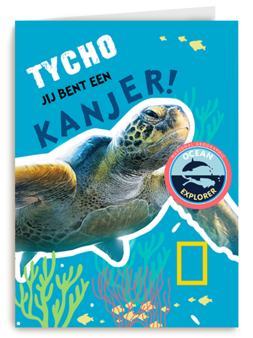 verjaardag kaart schildpad