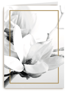 meerdere witte bloemen met goud randje
