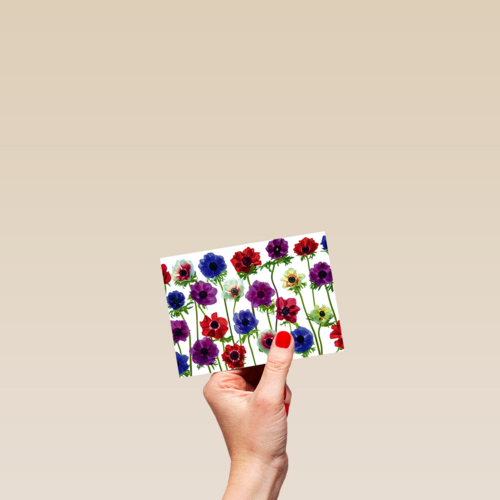 Chromazone Fleurige bloemen