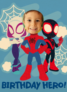 Birthday hero spidey and friends