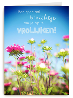 bloemenveld om je op te vrolijken