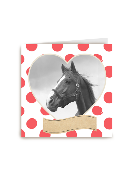 gefeliciteerd met je paard