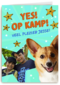 Op kamp corgi