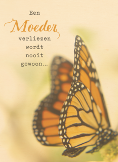 een moeder verliezen wordt nooit gewoon