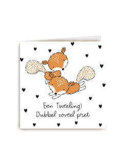 met een tweeling dubbel zoveel plezier