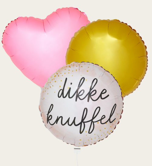 Ballonnentros Dikke Knuffel Roze Goud