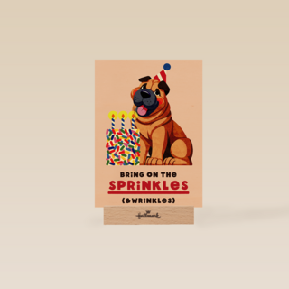Verjaardag Sprinkles And Wrinkles