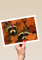 Wasbeertjes in de herfst