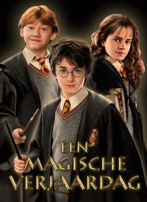 Harry Potter een magische verjaardag