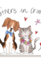 Matia Partners in crime