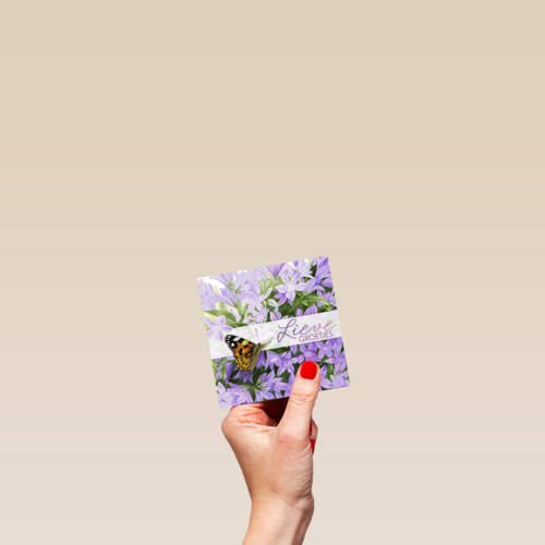 een vlinder bij bloemen