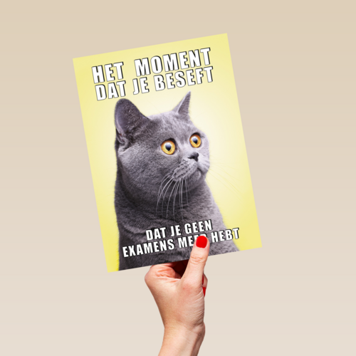 Geslaagd kaart Kat grappig