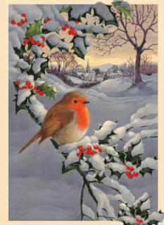 roodborstje op besneeuwde tak