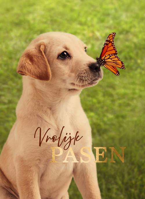 Houten Kaart Pasen | Houten Kaart Hallmark | Pasen | Pasen Vrolijk Hond Vlinder