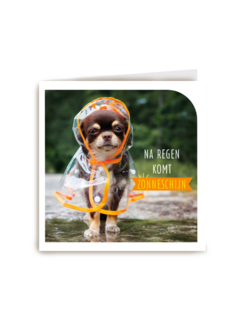 Beterschapskaart Grappig puppy met regenjas