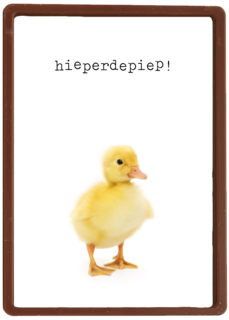 Verjaardagskaart eendje furry cuddles