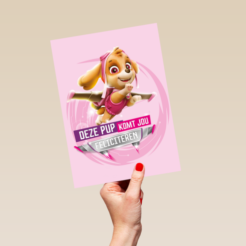 Paw Patrol deze pup komt jou feliciteren